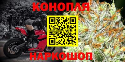 прущие грибы Обнинск