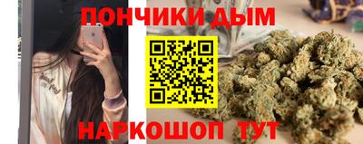 прущие грибы Обнинск