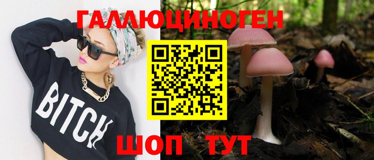 Псилоцибиновые грибы мицелий Заинск